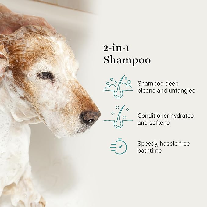 iGroom All-in-One Dog Shampoo + Conditioner, Luxury Pet Beauty Care, Deep Clean All Coat Types, Hydrate and Condition Coat, Made in The USA, 16 oz