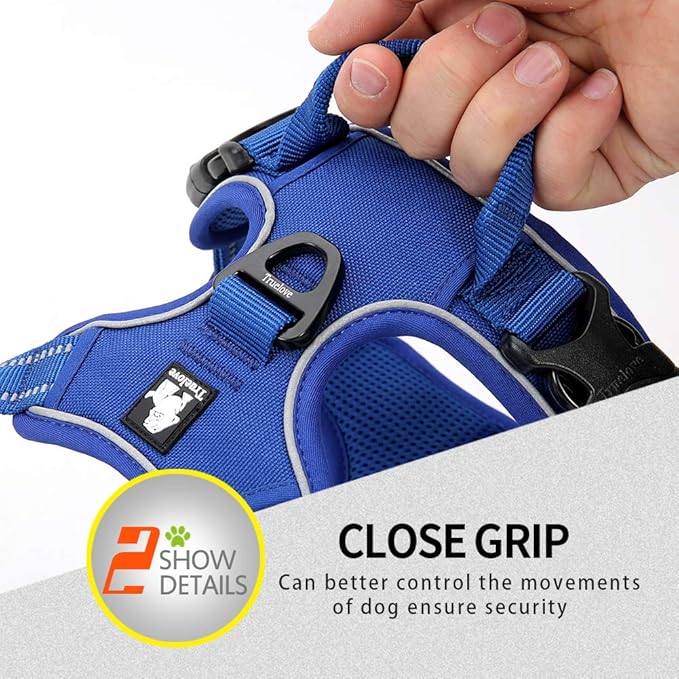 Soft Front Dog Harness .Best Reflective No Pull Harness with Handle and 2 Leash Attachments