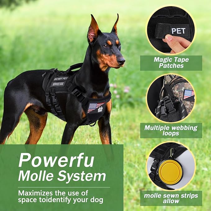 No Pull Tactical Dog Harness for Small Dogs, Escape Proof Molle Dog Vest Harness and Leash Set, Adjustable Military Service Dog Harness with Handle for Medium Large Dogs(Black, Small)