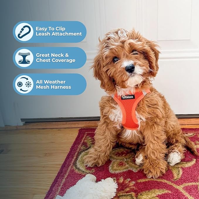 Voyager Step-In Air Dog Harness - All Weather Mesh, Reflective, No Pull Harness for Small, Medium Dogs, Cats - Secure with Hook & Loop Fastener, Buckle, Double D-Rings - Orange, XXXS