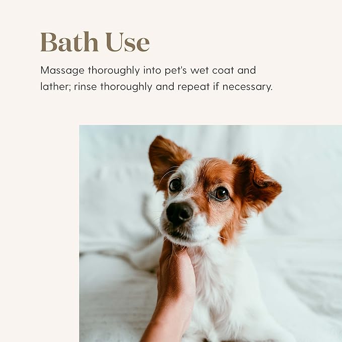 Young Living Animal Scents Pet Shampoo - Contains Pure Essential Oils - 8 fl oz