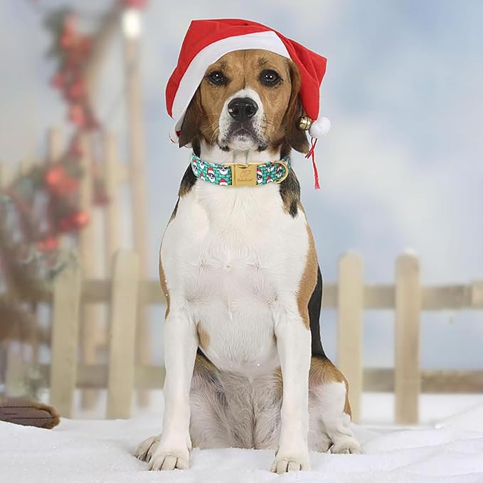 Christmas Dog Collars for Large Dog,Green Santa Claus Dog Collar with Safety Metal Buckle Adjustable Puppy Collars for Small Medium Dog,Boy&Girl&Male&Female Dog Gift,L-16-24"