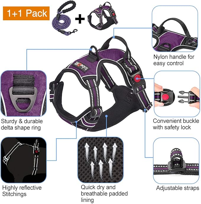 tobeDRI No Pull Dog Harness Adjustable Reflective Oxford Easy Control Medium Large Harness with A Free Heavy Duty 5ft Leash (L (Neck: 18"-25.5", Chest: 24.5"-33"), Purple)