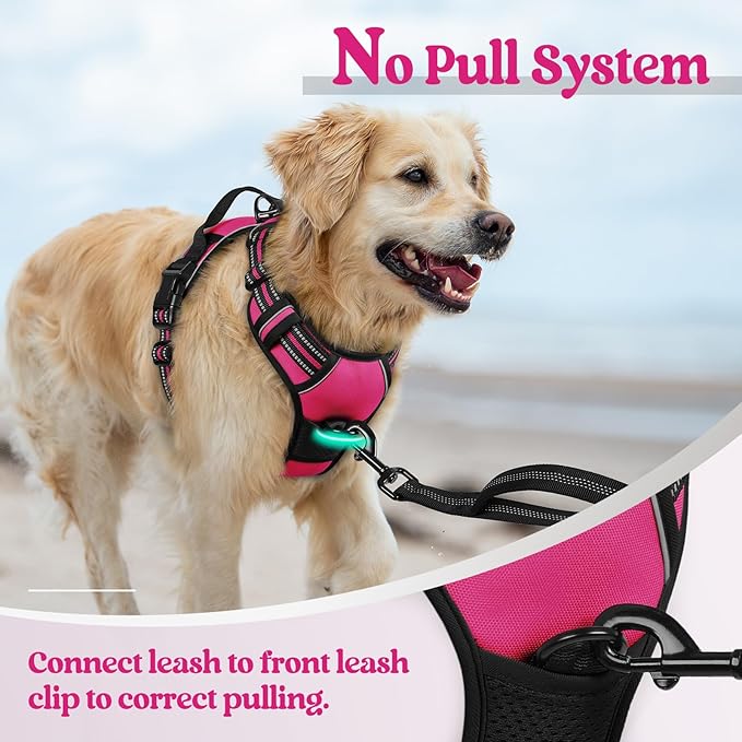 rabbitgoo Dog Harness, No-Pull Pet Harness with 2 Leash Clips, Adjustable Soft Padded Dog Vest, Reflective No-Choke Pet Oxford Vest with Easy Control Handle for Medium Dogs, Hot Pink, M