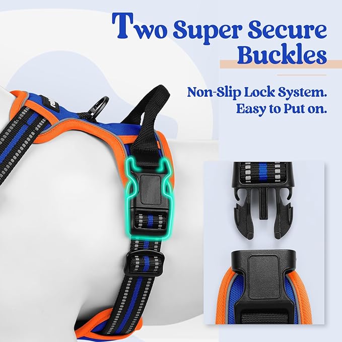 rabbitgoo Dog Harness, No-Pull Pet Harness with 2 Leash Clips, Adjustable Soft Padded Dog Vest, Reflective No-Choke Pet Oxford Vest with Easy Control Handle for Large Dogs, Blue & Orange, S