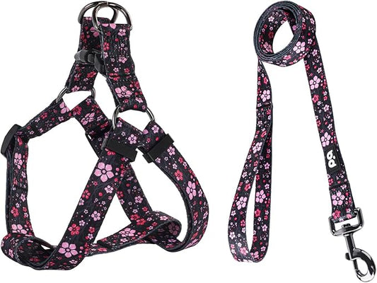 QQPETS Dog Harness Leash Set Adjustable Heavy Duty No Pull Halter Harnesses for Small Medium Large Breed Dogs Back Clip Anti-Twist Perfect for Walking