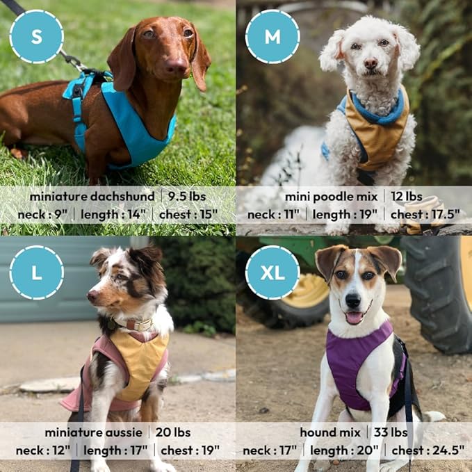 Gooby Lite Gear Z Harness - Scratch Resistant Ergonomic Harness with Shock Absorption - Head-in Harness for Small or Medium Dogs