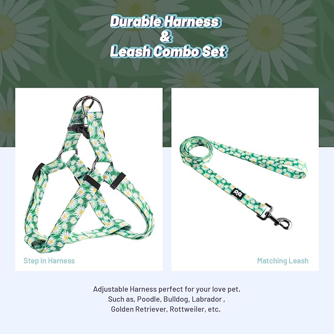 QQPETS Dog Harness Leash Set Adjustable Heavy Duty No Pull Halter Harnesses for Small Medium Large Breed Dogs Back Clip Anti-Twist Perfect for Walking