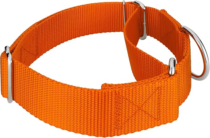 Country Brook Petz 1 1/2 Inch Martingale Heavy Duty Nylon Adjustable Dog Collar for Small, Medium, Large Breeds - Vibrant 17 Color Selection (Orange, Medium)