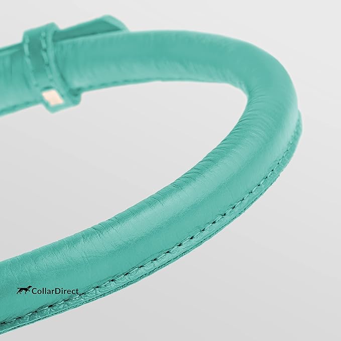 CollarDirect Rolled Leather Dog Collar, Soft Padded Round Puppy Collar, Handmade Genuine Leather Collar Dog Small Large Cat Collars 13 Colors (11-14 Inch, Mint Green Textured)