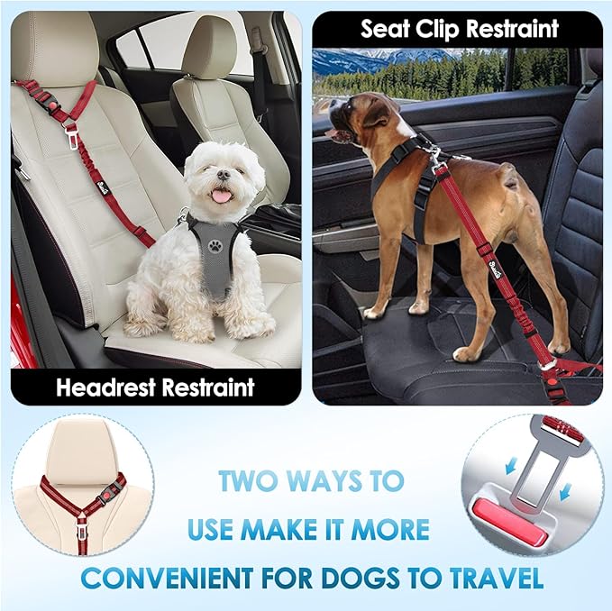 Lukovee Dog Seatbelt Leash for Cars, 2 Pack Pet Safety Car Seat Belt with Adjustable Buckle & Reflective Bungee, Connect Dog Harness in Vehicle Car Dogs Restraint Travel Daily Use (Red)