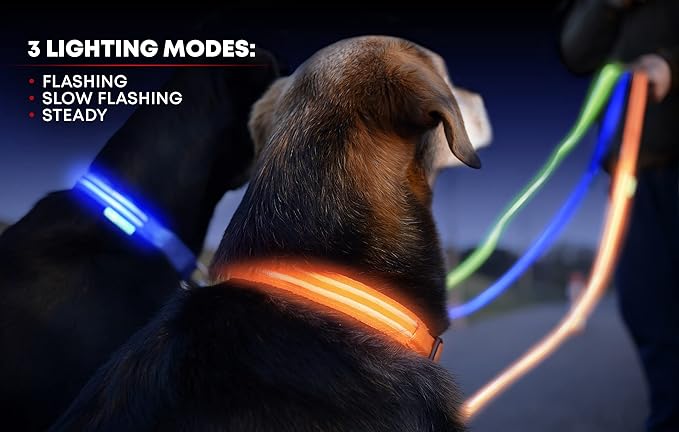 ILLUMISEEN LED Dog Collar USB Rechargeable - Bright & High Visibility Lighted Glow Collar for Pet Night Walking - Weatherproof, in 6 Colors & 6 Sizes (Yellow Large)