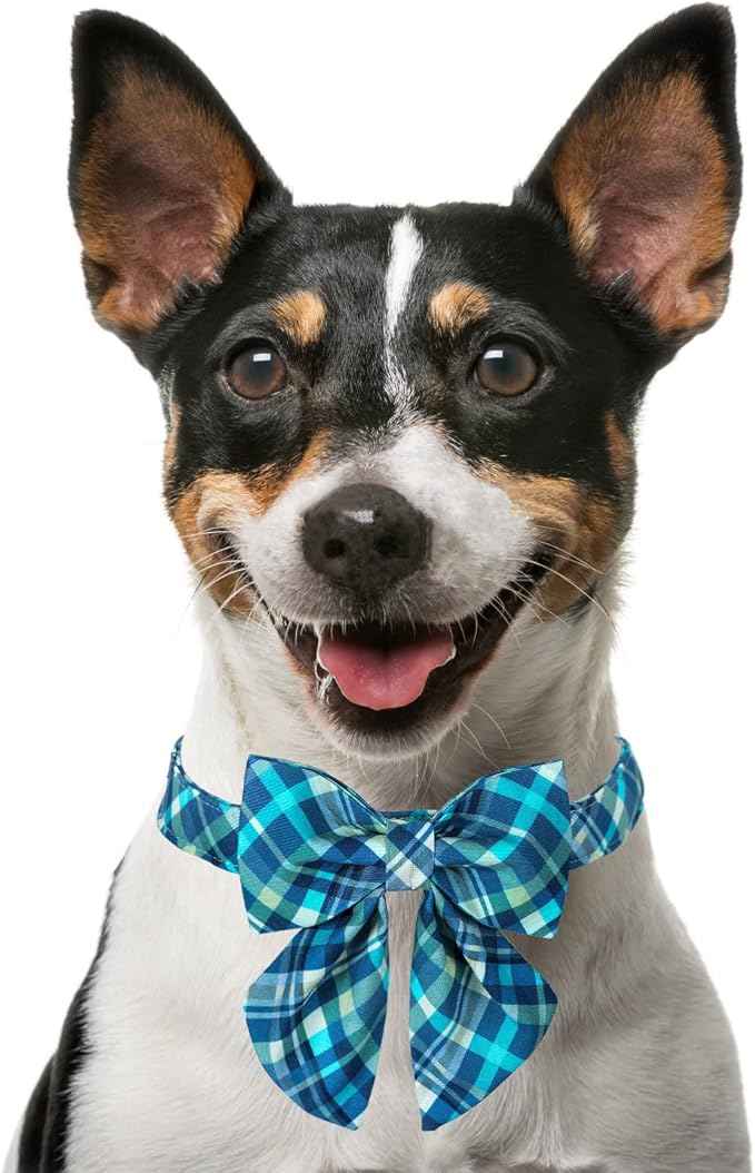 Maca Bates Plaid Blue Dog Collar with Checkered Bow Bowtie for Grid Dogs Bows Tie Adjustable Breakaway Collars Birthday Gift Colar for Small Medium Large XL Girl Boy Male Female Puppy Pets