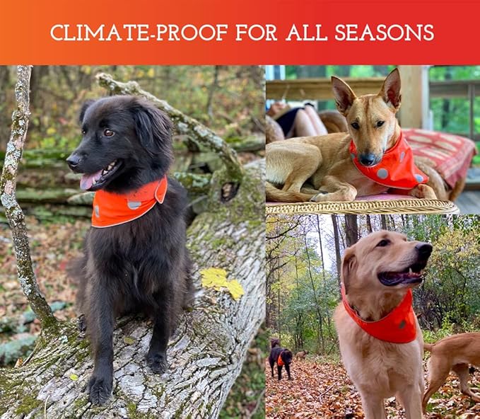 SPOT THE DOG! Reflective Dog Bandanas - High Visibility Safety Dog Accessories for Small, Large Dogs, Orange Collar, Scarf, Kerchief, Bib for Hunting, Camping, Walking at Night (Blaze Orange, XS-S)