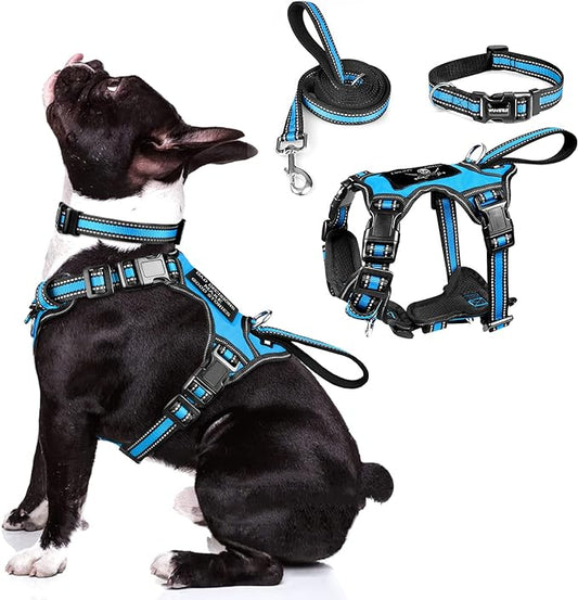 WINSEE Pet Harness Collar and Leash Set, All-in-one Reflective Dog Harness No Pull with Adjustable Buckles for Puppies, Small, Medium, Large, and Extra-Large Dogs (Medium, Blue)