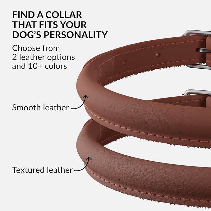 CollarDirect Rolled Leather Dog Collar, Soft Padded Round Puppy Collar, Handmade Genuine Leather Collar Dog Small Large Cat Collars 13 Colors (11-14 Inch, Cinnamon Smooth)