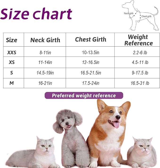 No Pull Small Dog Harness and Leash Set, Soft Adjustable Floral Puppy Dog Harness Vest for Extra Small-Medium Pet Dogs and Cat, Purple Flower, XXSmall