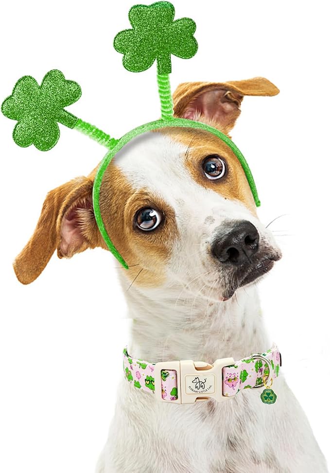 Elegant little tail St Patrick's Day Dog Collar-Cute Colver Cotton Shamrock Pet Collar Trefoil Pink Holiday Adjustable Cotton Pet Collar with Quick Release Buckle for Small Medium Large Dogs