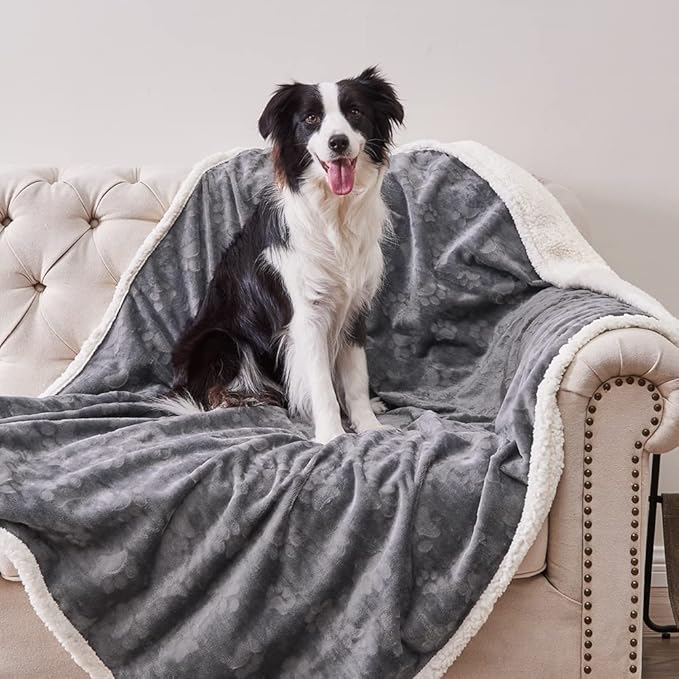 Qeils Dog Blankets for Large Dogs - Waterproof Dog Blanket Washable - Sherpa Fleece Puppy Blanket, Soft Plush Reversible Throw Protector for Bed Couch Car Sofa, 50"X60", Dark Grey