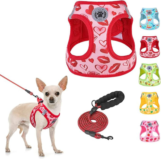 BEAUTYZOO Step in Dog Harness and Leash Set,Reflective Dog Harness No Pull No Choke Puppy Harness for Small Medium Large Dogs Cats,Soft Padded Mesh Vest Harnesses for Girl and Boy Pets, Valentine XS