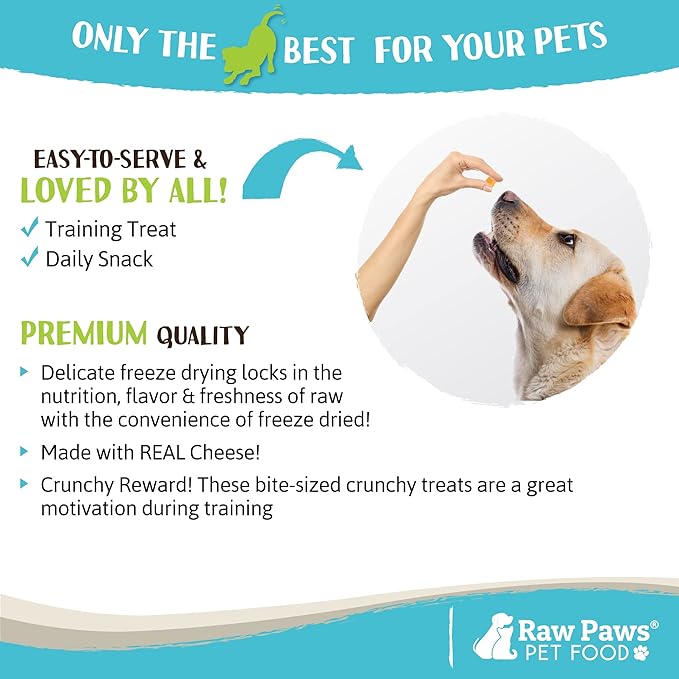Raw Paws Freeze Dried Cheddar Cheese Treats for Dogs, 3-oz - Crunchy Dog Cheese Puffs Made in USA, Natural Dried Cheese for Dogs - 100% Real Wisconsin Cheddar Cheese Bites for Dogs - Dog Cheese Treats