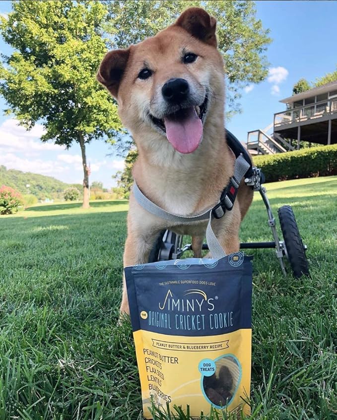 Jiminy's Original Cricket Cookie Dog Treat, 5oz, Peanut Butter & Blueberry (Pack of 3)