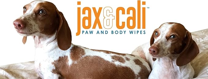 JAX & CALI All Natural Pet Toothbrush Wipes & Extra Large Paw and Body Wipes
