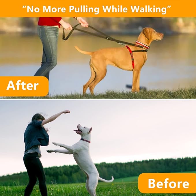 Dog ProngTraining Collar Choke Pinch Collar for Dogs with Comfort No Pull Dog Collar Rubber Tips and Quick Release Snap for Small Medium Large Dogs