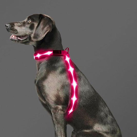 LED Light Up Dog Vest Harness Rechargeable, Soft Padded, Adjustable & Reflective Lighted Dog Harness Waterproof, Glow Dark Dog Light Harness for Camping Night Safety Walking, Medium Pink
