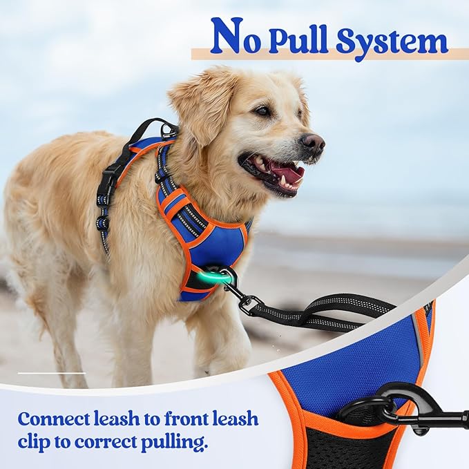 rabbitgoo Dog Harness, No-Pull Pet Harness with 2 Leash Clips, Adjustable Soft Padded Dog Vest, Reflective No-Choke Pet Oxford Vest with Easy Control Handle for Large Dogs, Blue & Orange, S