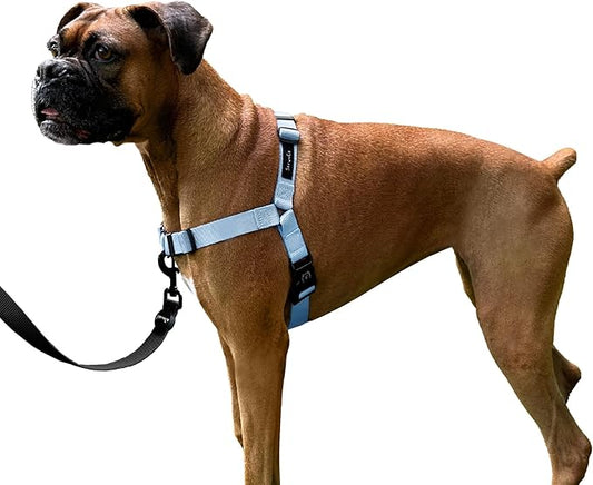 ShawnCo Dream Walk No-Pull Dog Harness- Adjustable, Comfortable, Easy to Use Pet Halter to Help Stop Pulling for Small, Medium and Large Dogs (Moonglow, M)
