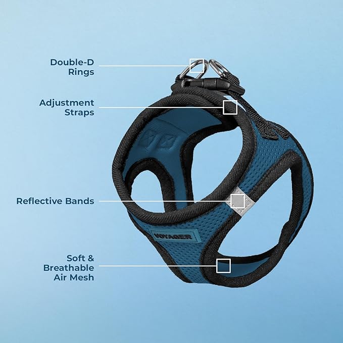 Voyager Step-In Air Dog Harness - All Weather Mesh, Reflective, No Pull Harness for Small, Medium Dogs, Cats - Secure with Hook & Loop Fastener, Buckle, Double D-Rings - Blue/Black Trim, XXS