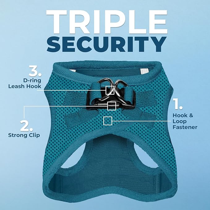 Voyager Step-in Air Dog Harness - All Weather Mesh, Reflective, No Pull Harness for Small, Medium Dogs, Cats - Secure with Hook & Loop Fastener, Buckle, Double D-Rings - Turquoise, M