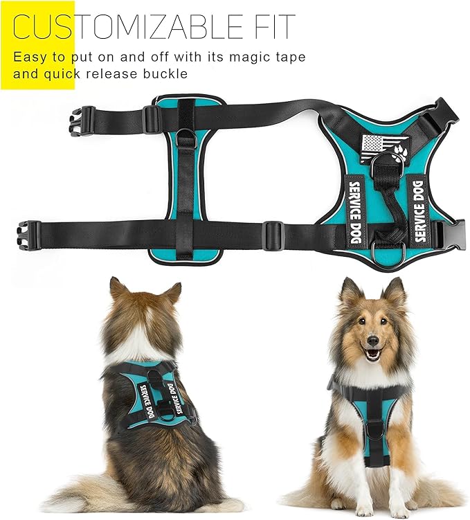 Demigreat Service Dog Harness, Reflective Dog Vest Harness with 5 PCS Patches, Adjustable Soft Oxford Pet Harness, Inner Layer Mesh, Easy to Control for Dogs