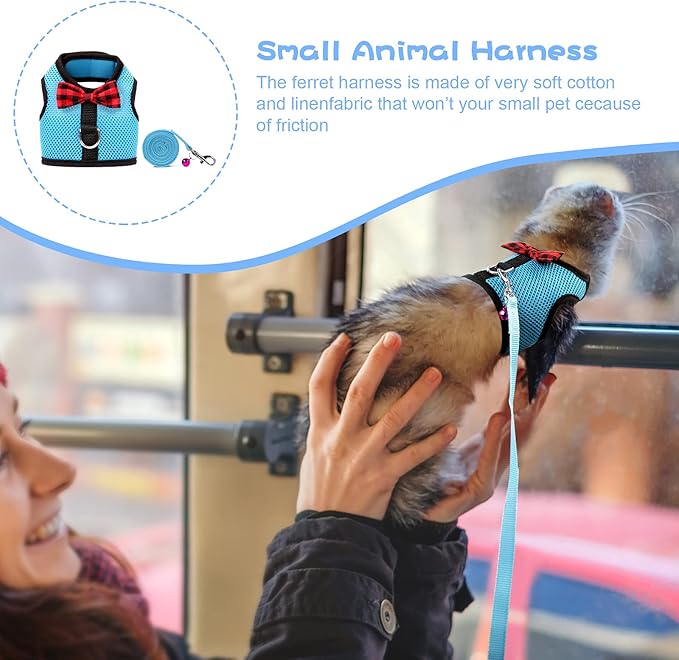 Rypet Small Animal Harness and Leash - Soft Mesh Small Pet Harness with Safe Bell, No Pull Comfort Padded Vest for Small Pet Blue M