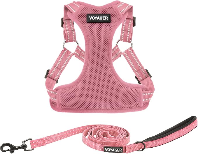 Best Pet Supplies Voyager Adjustable Dog Harness Leash Set with Reflective Stripes for Walking Heavy-Duty Full Body No Pull Vest with Leash D-Ring, Breathable All-Weather - Harness (Pink), S