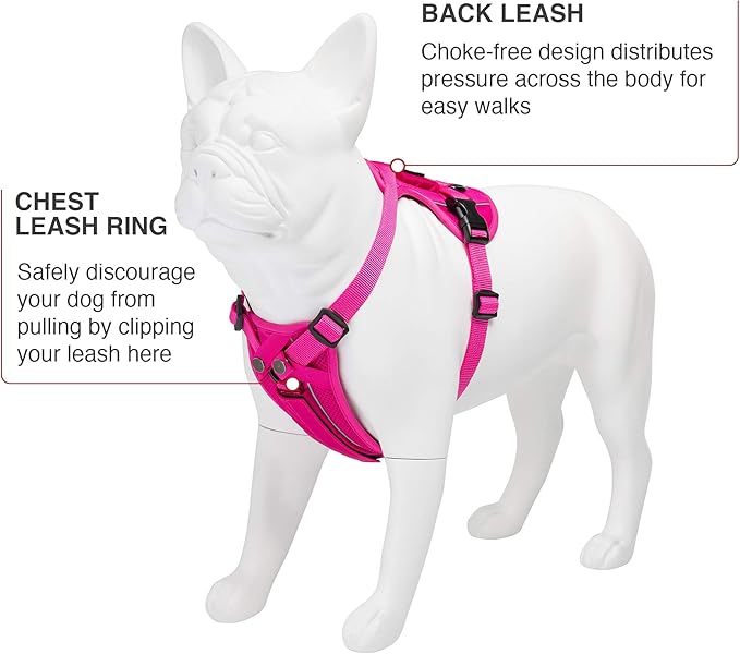 Voyager Freestyle 4-in-1 Dog Harness - Patent Pending Adjustable Webbing Harness with Removable Padding for Small to Large Dogs by Best Pet supplies - Fuchsia, L