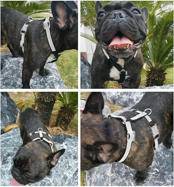 Dog Reflective Rhinestone Harness, No Pull Adjustable D-Ring Harness Walking Harness for Small Meduim Large Dog(Black,S)