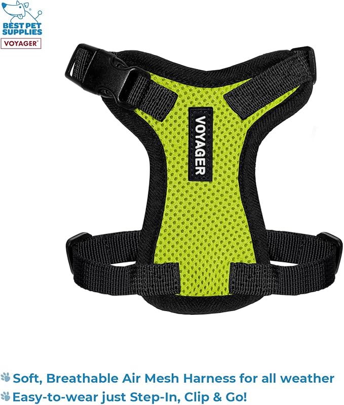 Voyager Step-in Lock Adjustable Cat Harness w. Cat Leash Combo Set with Neoprene Handle 5ft - Supports Small, Medium and Large Breed Cats by Best Pet Supplies - Lime Green/Black Trim, XXS