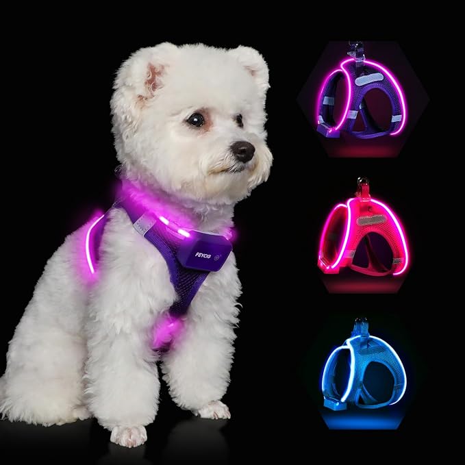 Light Up Dog Harness,LED Dog Harness Rechargeable, Lighted Dog Vest Harness for Night Walking,Reflective Safety Vest for Small Medium Large Dogs,Adjustable Soft Mesh,Purple,M