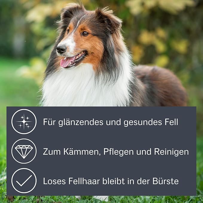 Palm Brush with Boar Bristles for Pets