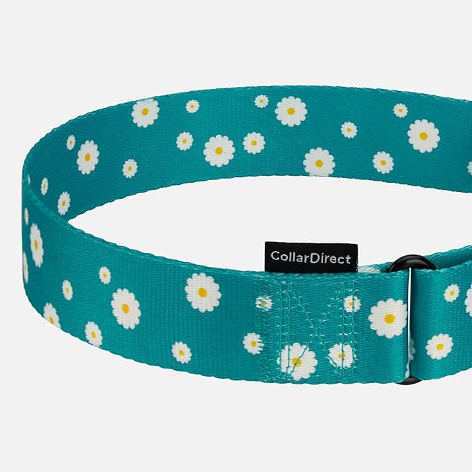 CollarDirect Martingale Collars for Dogs Heavy Duty Floral Pattern Female Safety Nylon Training Wide Collar Flower Design Large Medium (L, Neck Size 15"-20", Aquamarine)