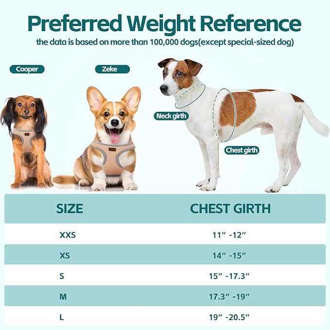 Dog Harness with Multifunction Dog Leash,No Pull Reflective Step-in Harness for Soft Adjustable No Choke Escape Proof,Easy Walk Dog Harness for Puppy,Small Dogs (Pink, XS)