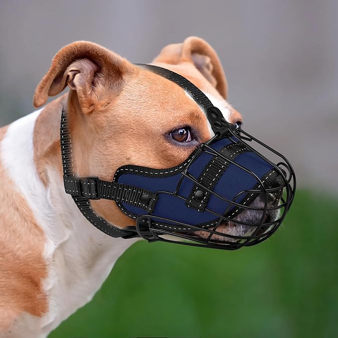 OOPSDOGGY Pitbull Dog Muzzle Reflective Metal Mask Secure Wire Basket Muzzle for Large Sized Dogs Amstaff Soft Cage Muzzle to Prevent Biting Chewing with Adjustable Nylon Straps (Blue, Pitbull)