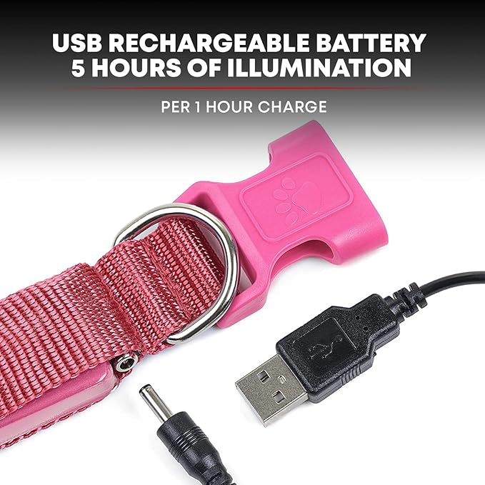 ILLUMISEEN LED Dog Collar USB Rechargeable - Bright & High Visibility Lighted Glow Collar for Pet Night Walking -Weatherproof, in 6 Colors & 6 Sizes (Pink Large)