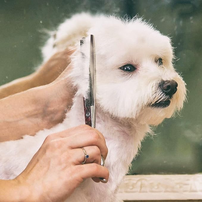 Gimars 7.0in Professional 4CR Stainless Steel Safety Round Tip 6 in 1 Dog Grooming Scissors Heavy Duty Titanium Coated Pet Grooming Scissor for Dogs, Cats and Other Animals