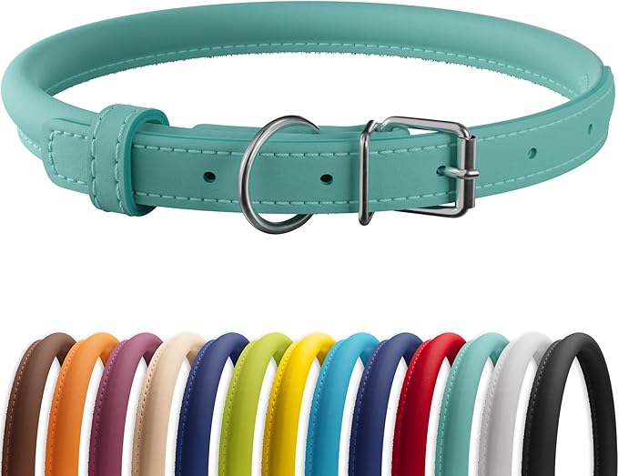 CollarDirect Rolled Leather Dog Collar, Soft Padded Round Puppy Collar, Handmade Genuine Leather Collar Dog Small Large Cat Collars 13 Colors (15-19 Inch, Mint Green Smooth)