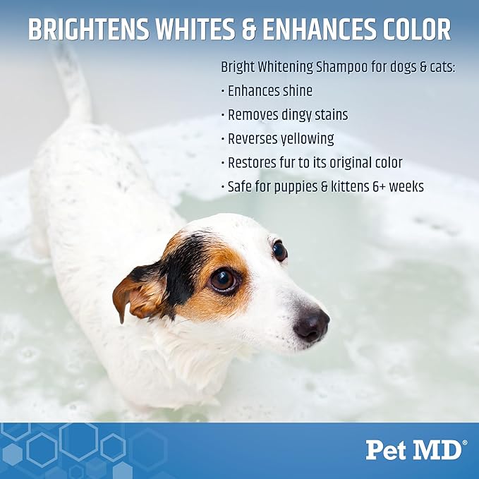 Pet MD Bright Whitening Shampoo for Dogs & Cats - Tearless Protein Enriched Shampoo w/Oatmeal for Brightening White & Light Colored Coats - Cleans, Adds Luster, & Controls Matting & Tangling - 12 oz