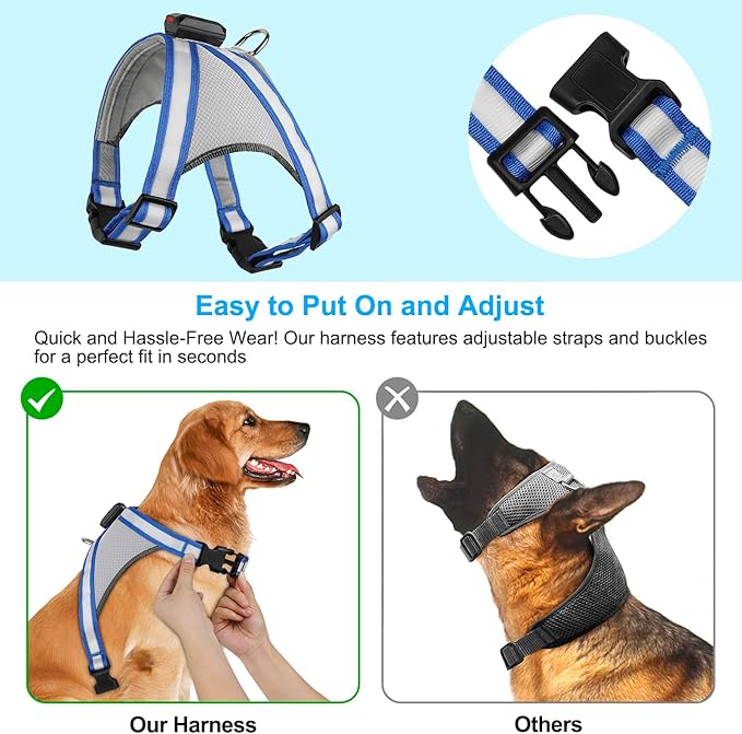 Visinite LED Dog Harness, USB Rechargeable Light Up Dog Harness Vest, 2 Illuminate Modes Glow in The Dark Dog Harness, Adjustable Lighted Dog Harness Light for Night Walking Safety (Blue, Small)