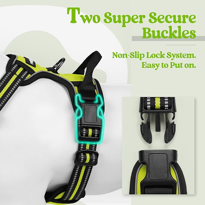 rabbitgoo Dog Harness, No-Pull Pet Harness with 2 Leash Clips, Adjustable Soft Padded Dog Vest, Reflective No-Choke Pet Oxford Vest with Easy Control Handle for Medium Dogs, Wild Lime, M